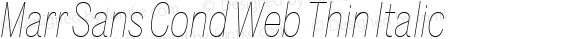 Marr Sans Cond Web Thin Italic