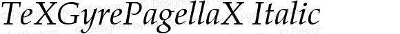 TeXGyrePagellaX Italic