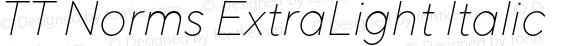 TT Norms ExtraLight Italic