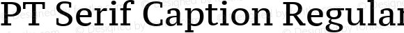 PT Serif Caption Regular