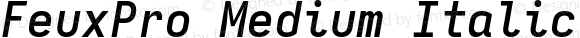 FeuxPro Medium Italic