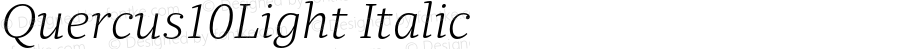 Quercus10Light-Italic