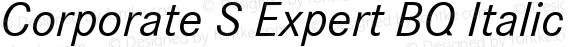 Corporate S Expert Italic OsF