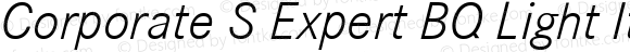 Corporate S Expert Light Italic OsF