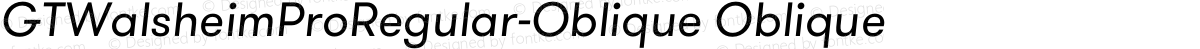 GTWalsheimProRegular-Oblique Oblique