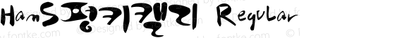 HanS펑키캘리 Regular