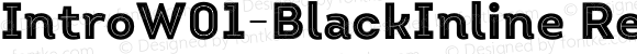 IntroW01-BlackInline Regular