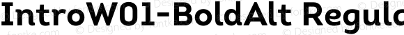 IntroW01-BoldAlt Regular