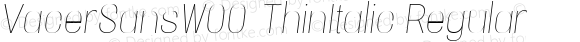 VacerSansW00-ThinItalic Regular