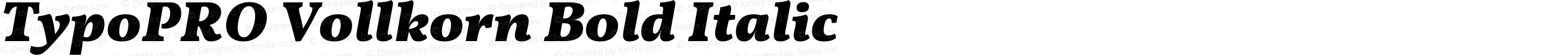 TypoPRO Vollkorn Bold Italic