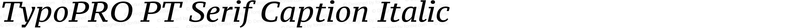 TypoPRO PT Serif Caption Italic