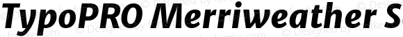 TypoPRO Merriweather Sans ExtraBold Italic