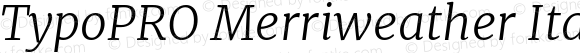 TypoPRO Merriweather Light Italic