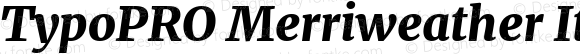 TypoPRO Merriweather UltraBold Italic