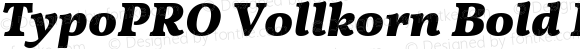 TypoPRO Vollkorn Bold Italic