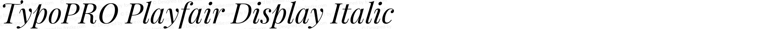 TypoPRO Playfair Display Italic