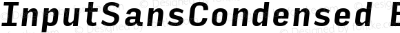 InputSansCondensed Bold Italic