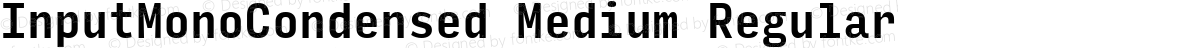 InputMonoCondensed Medium Regular