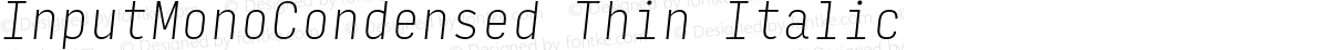 InputMonoCondensed Thin Italic