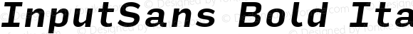 InputSans Bold Italic