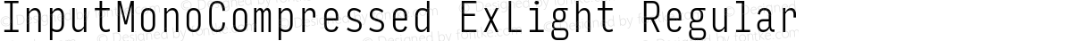 InputMonoCompressed ExLight Regular