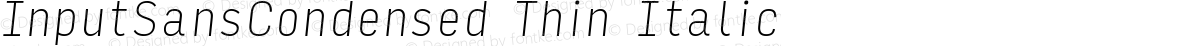 InputSansCondensed Thin Italic