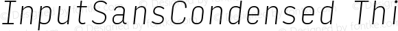 InputSansCondensed Thin Italic