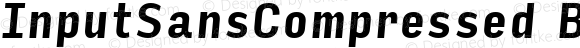 InputSansCompressed Bold Italic