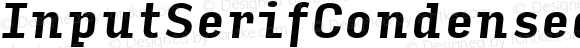InputSerifCondensed Bold Italic