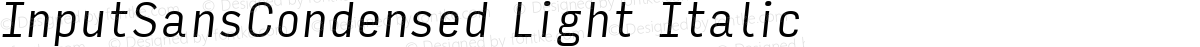 InputSansCondensed Light Italic