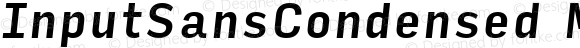 InputSansCondensed Medium Italic