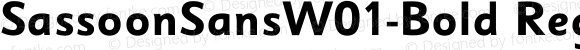 Sassoon Sans W01 Bold
