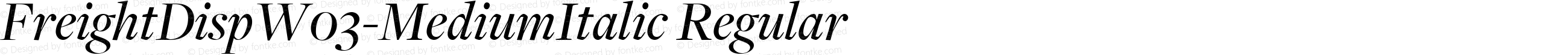 FreightDisp W03 Medium Italic