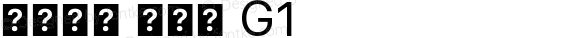 系统字体 常规体 G1