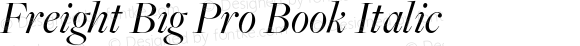 FreightBigPro-BookItalic