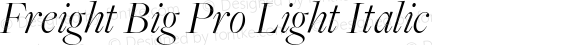 FreightBigPro-LightItalic