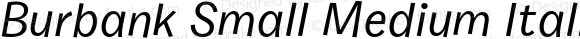 Burbank Small Medium Italic