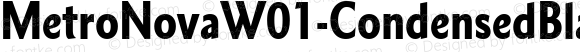 MetroNovaW01-CondensedBlack Regular