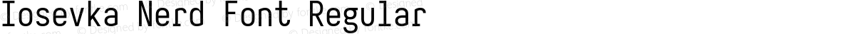 Iosevka Nerd Font Regular