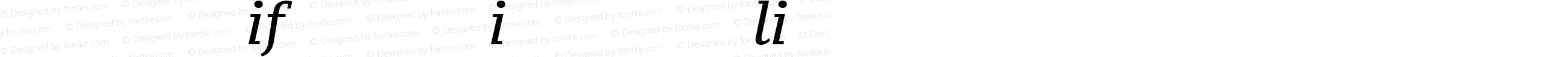 PT Serif Caption Italic