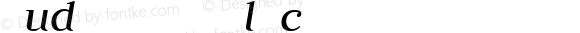 Judson Italic