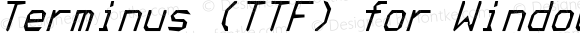 Terminus (TTF) for Windows Italic