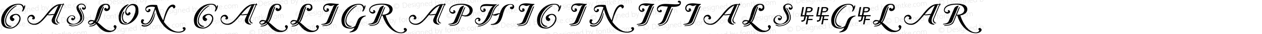 Caslon Calligraphic Initials Regular