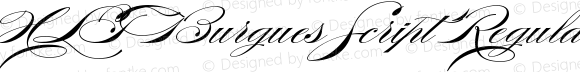 HLT Burgues Script Regular