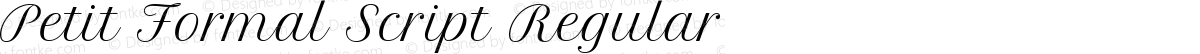 Petit Formal Script Regular