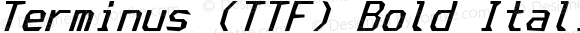 Terminus (TTF) Bold Italic