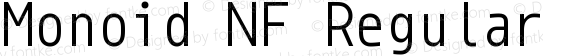 Monoid Regular Nerd Font Plus Font Awesome Plus Octicons Windows Compatible