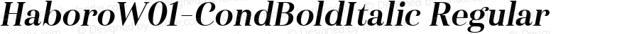 Haboro W01 Cond Bold Italic