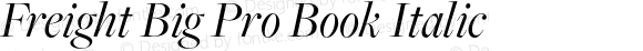 Freight Big Pro Book Italic