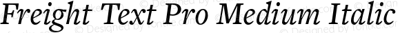 Freight Text Pro Medium Italic